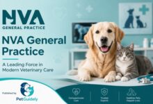 NVA General Practice