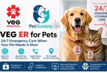 VEG ER for Pets